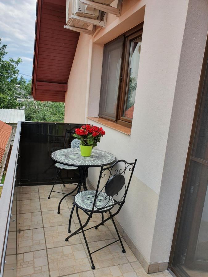 Smiley Flowers Сібіу Екстер'єр фото